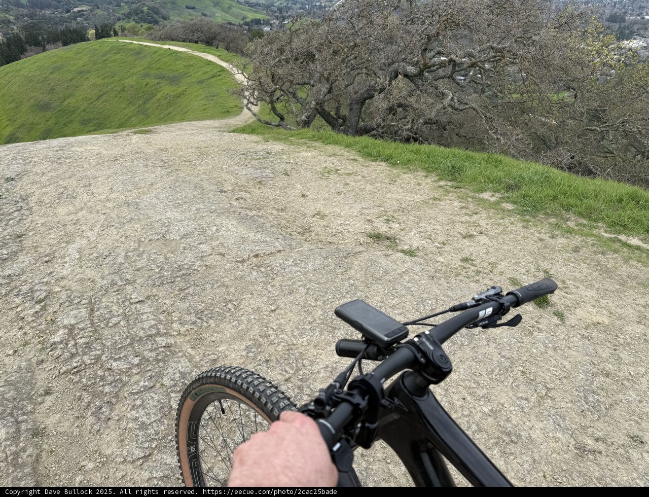Exploring the Trails of Walnut Creek