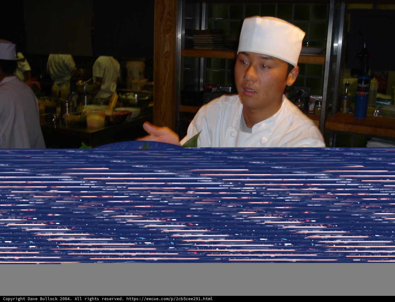 Master Chef in Action