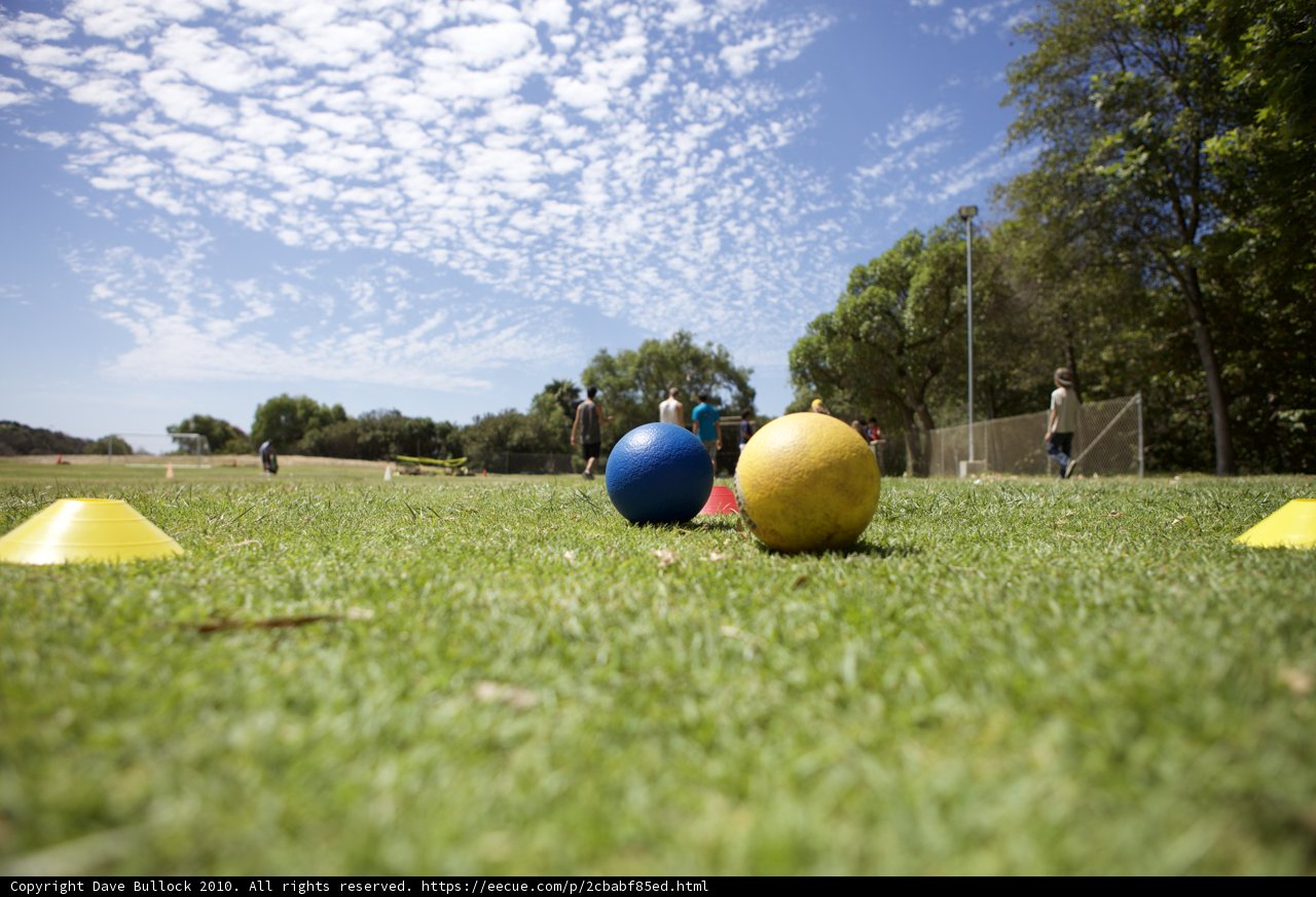 A Game of Bocce Ball on the Green Grass