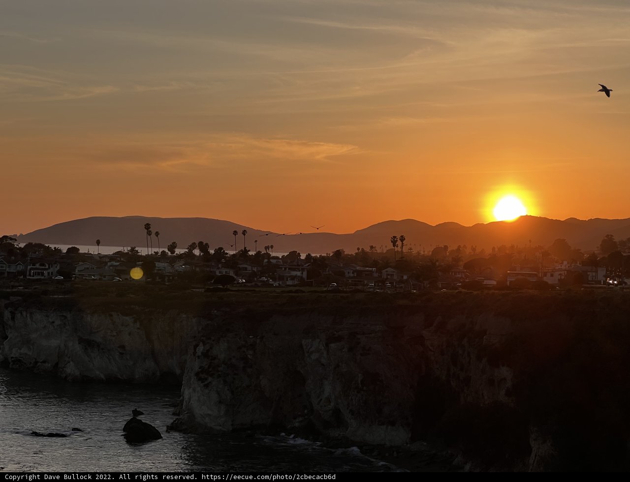 Golden Hour on the Pacific Coast