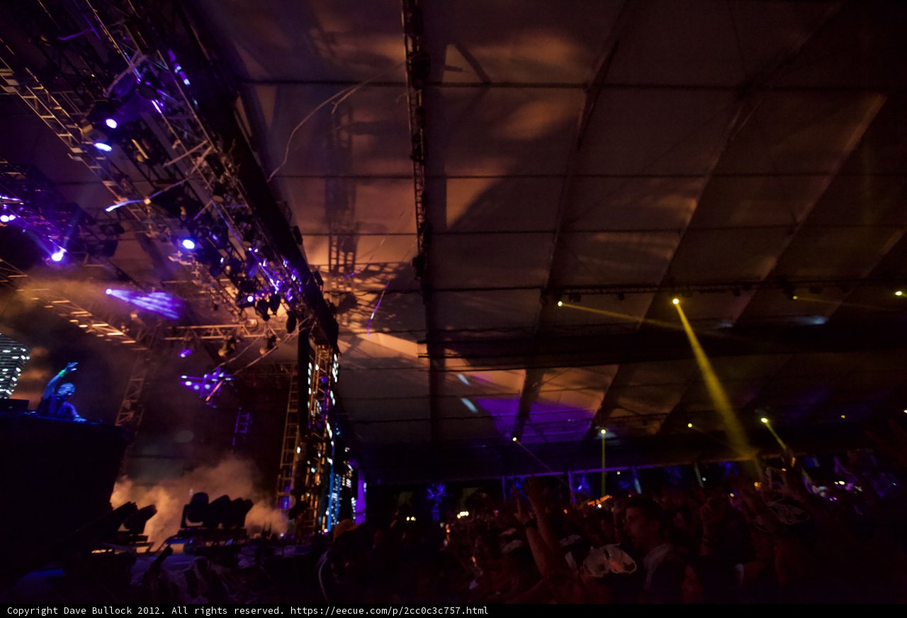 Electric Nights