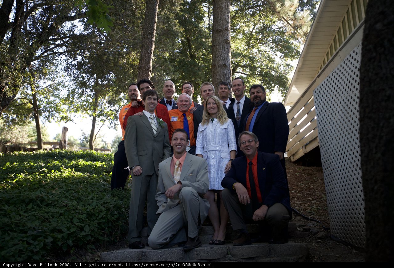 Wedding Party Poses Amongst Greenery