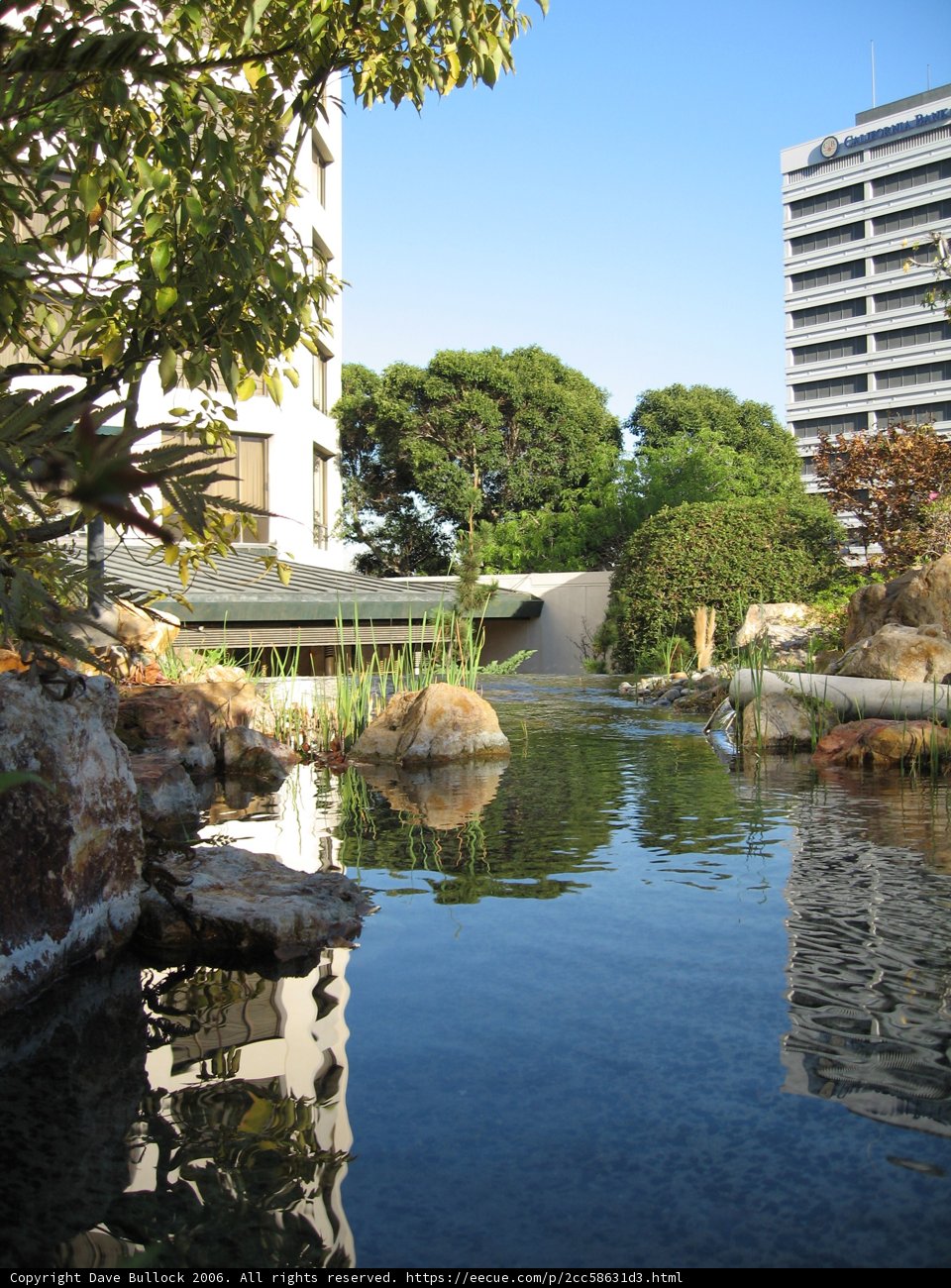Serene Pond with Central Tree
