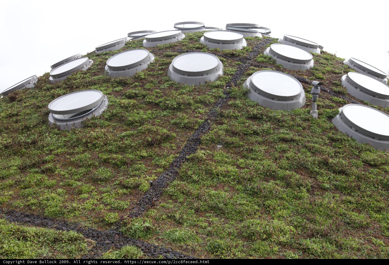 Green Roof Building with Large Windows
