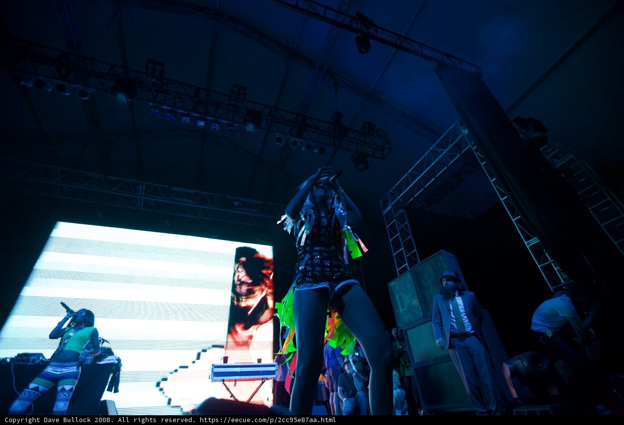 Woman Shines on Stage at Coachella Concert