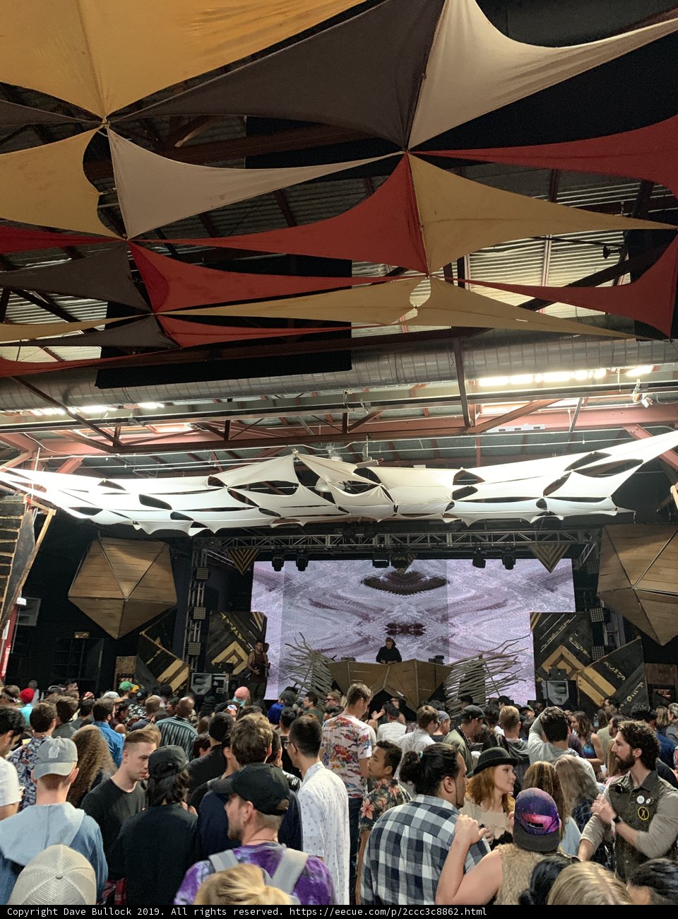 Music Festival Madness