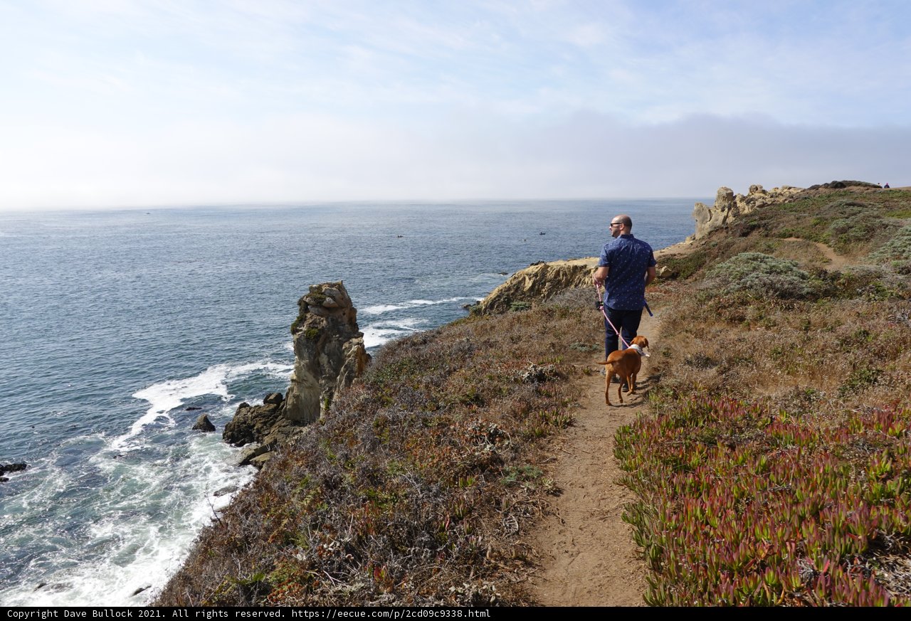 Man and His Dog Enjoying a Hike on a Promontory Trail
