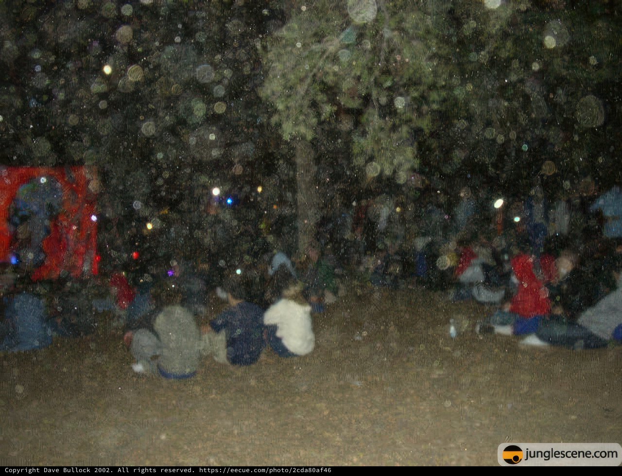 Nighttime Camping with Friends