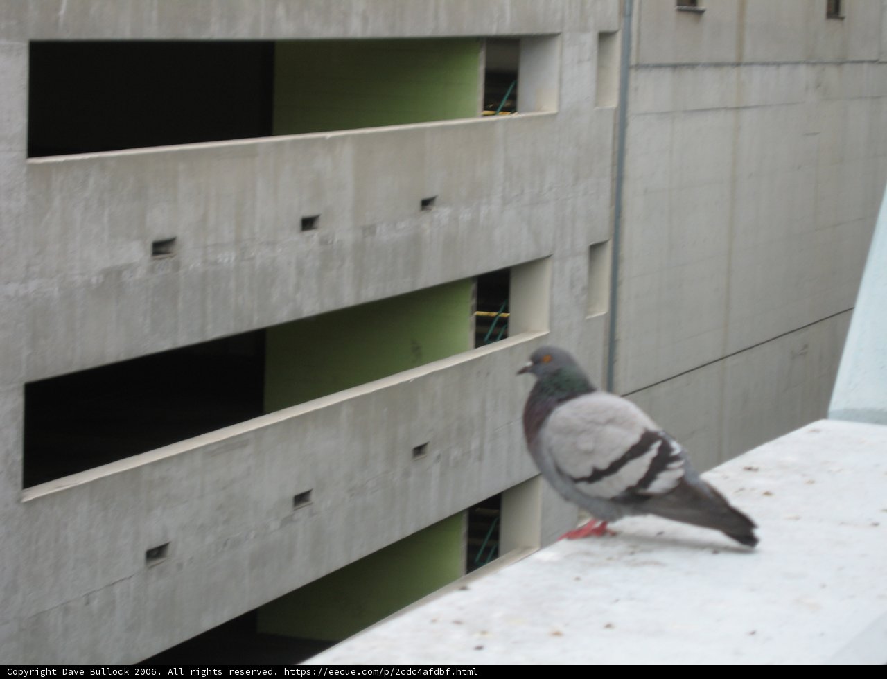 Pigeon's Ledge