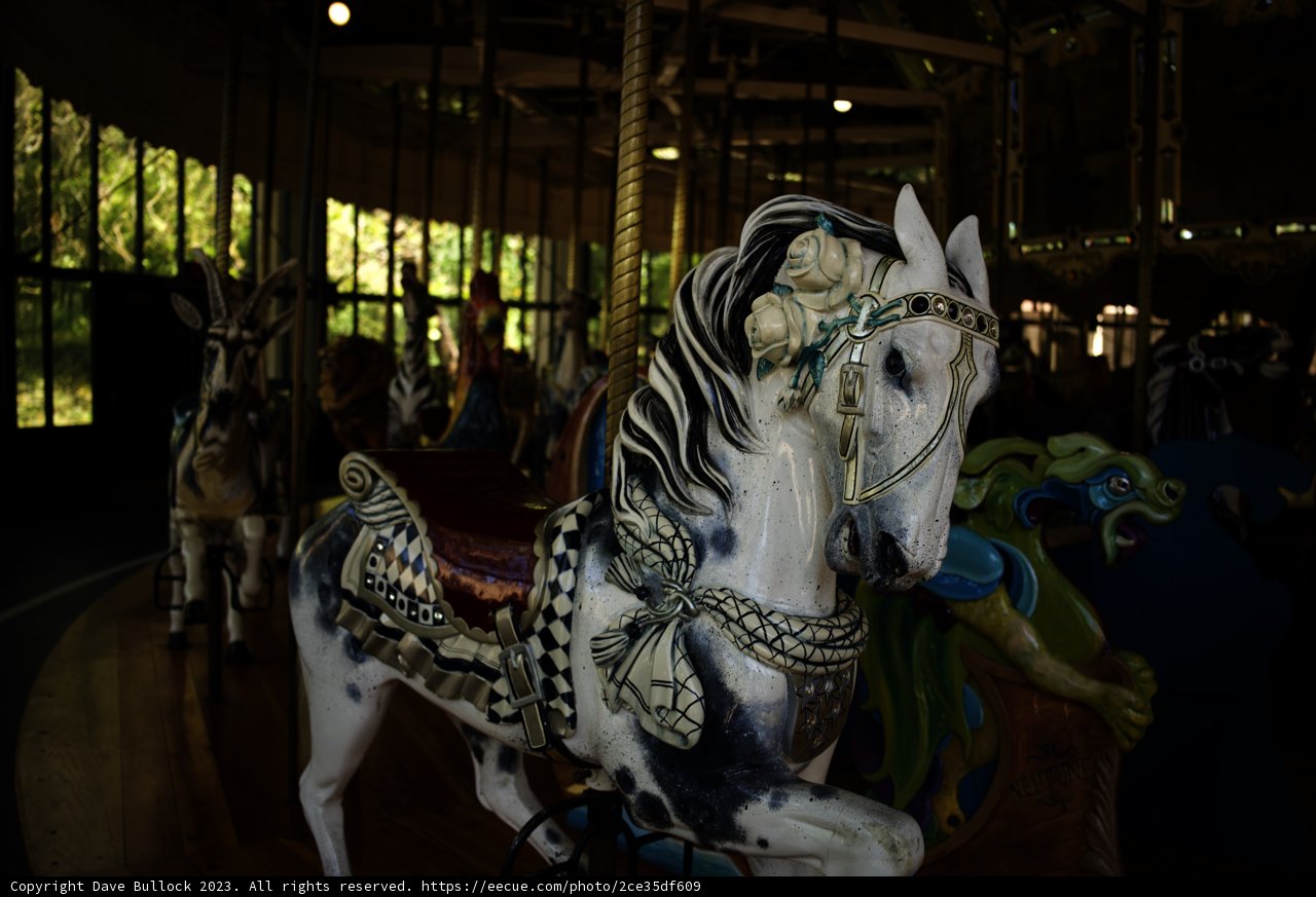 An Enchanting Carousel Ride at Golden Gate Park: 2023