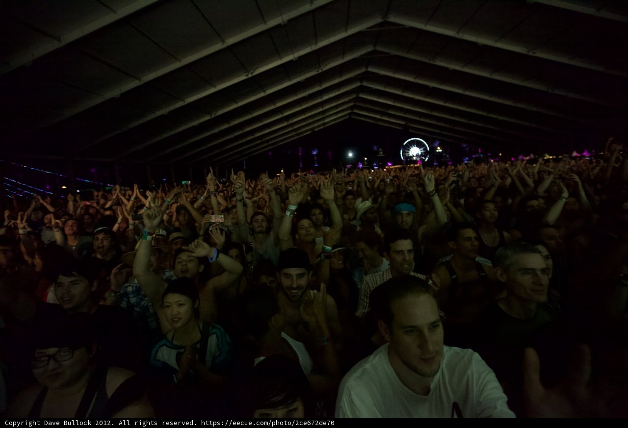 Electric Vibes at Coachella