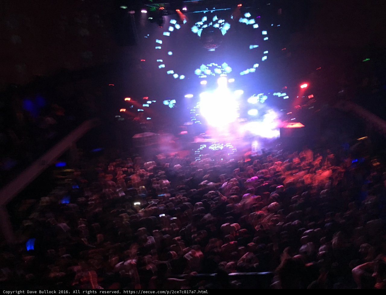 Spotlight on the Crowd