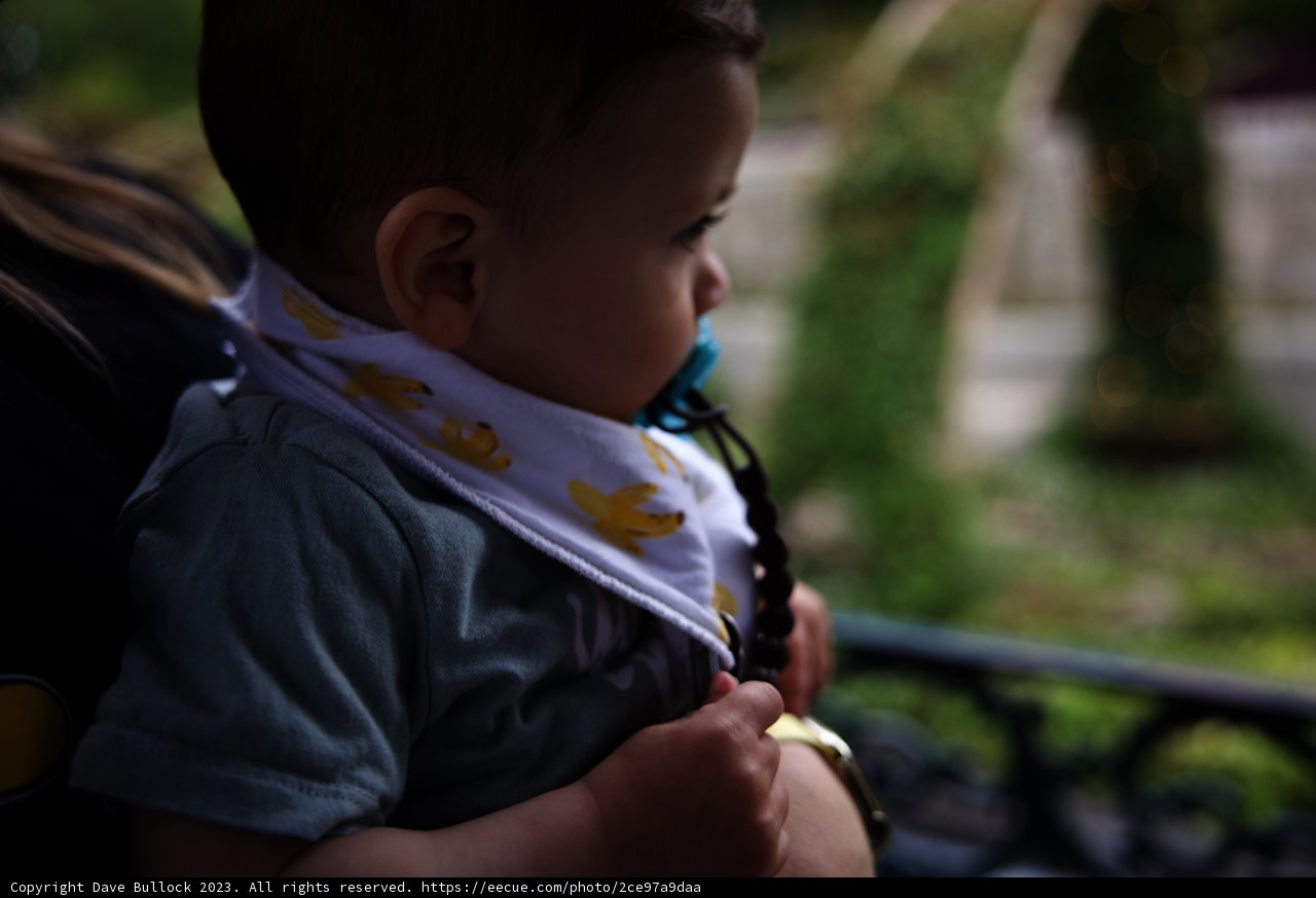 Monkeying Around at Disneyland