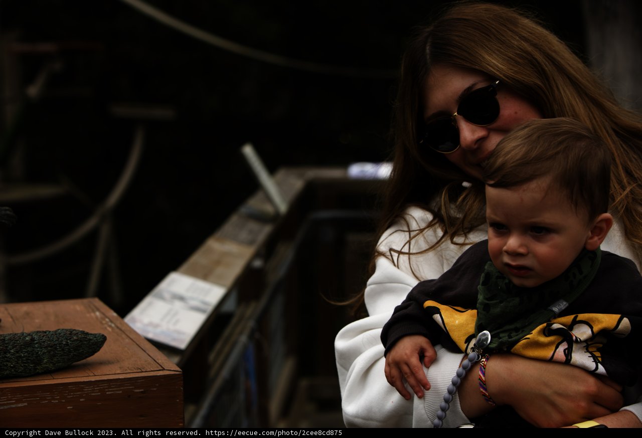 Joyous Day at the San Francisco Zoo