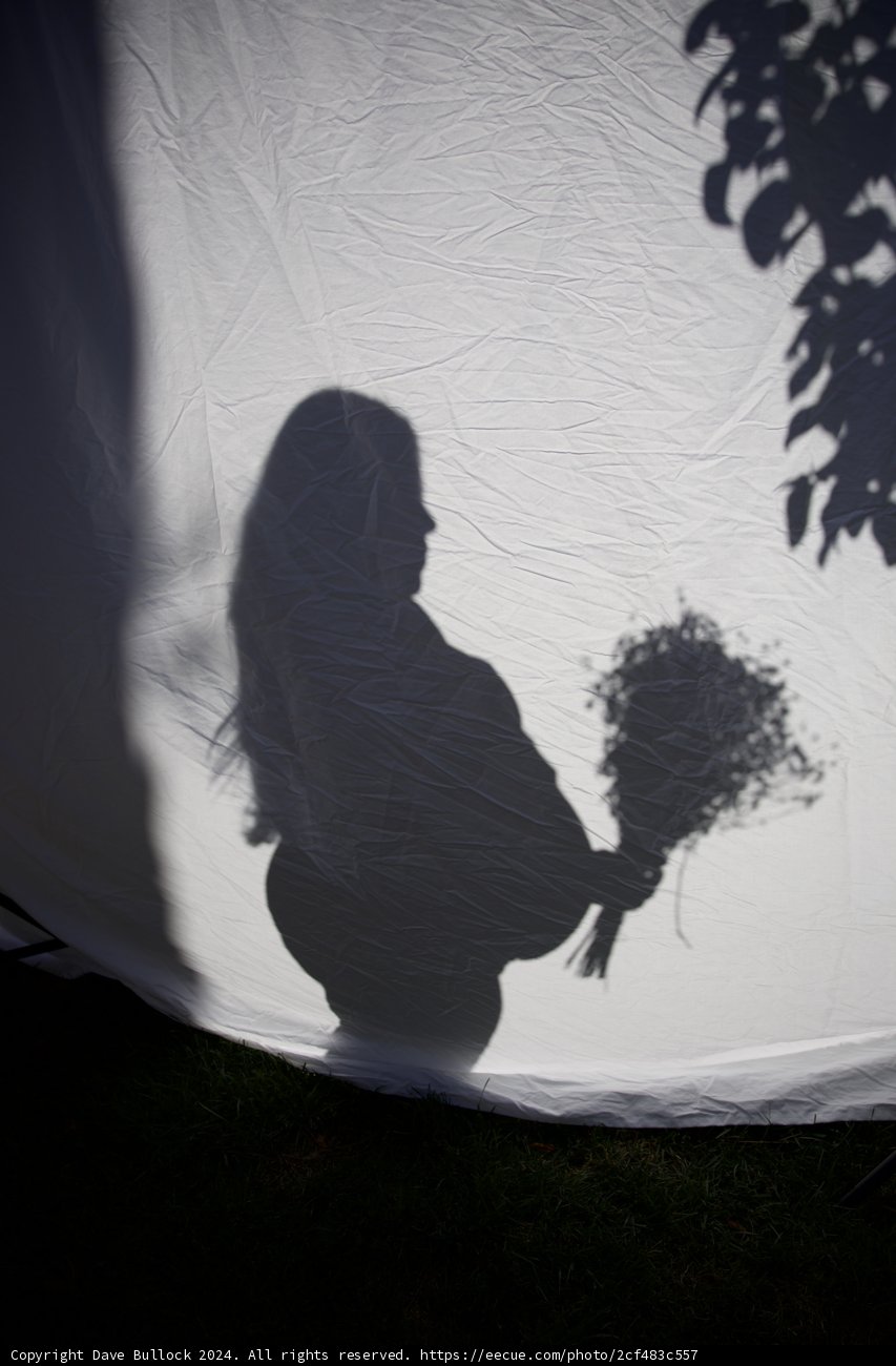 Anticipating Leland: A Silhouette in Bloom