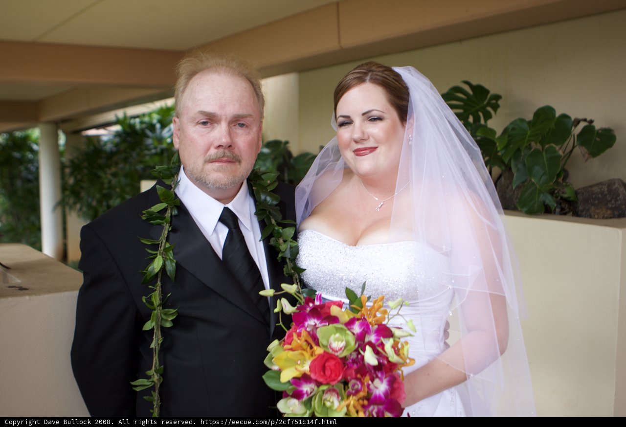 Wedding Bliss in Hawaii