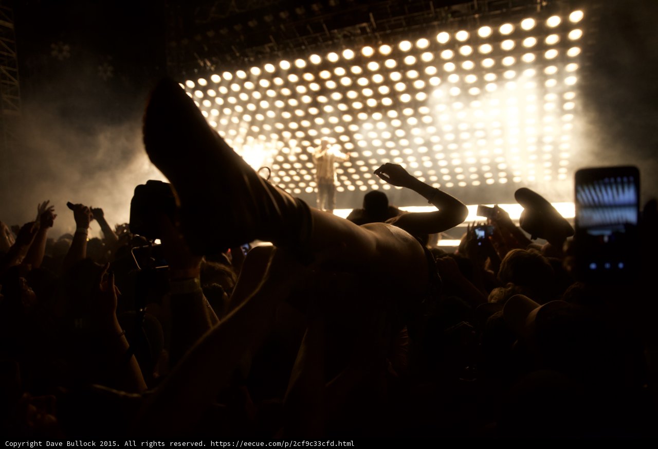Crowd Surfing Silhouette