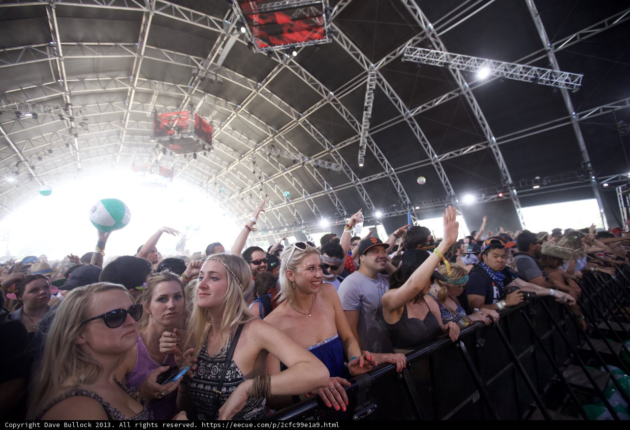 The Excitement of Music: A Vibrant Crowd at Coachella