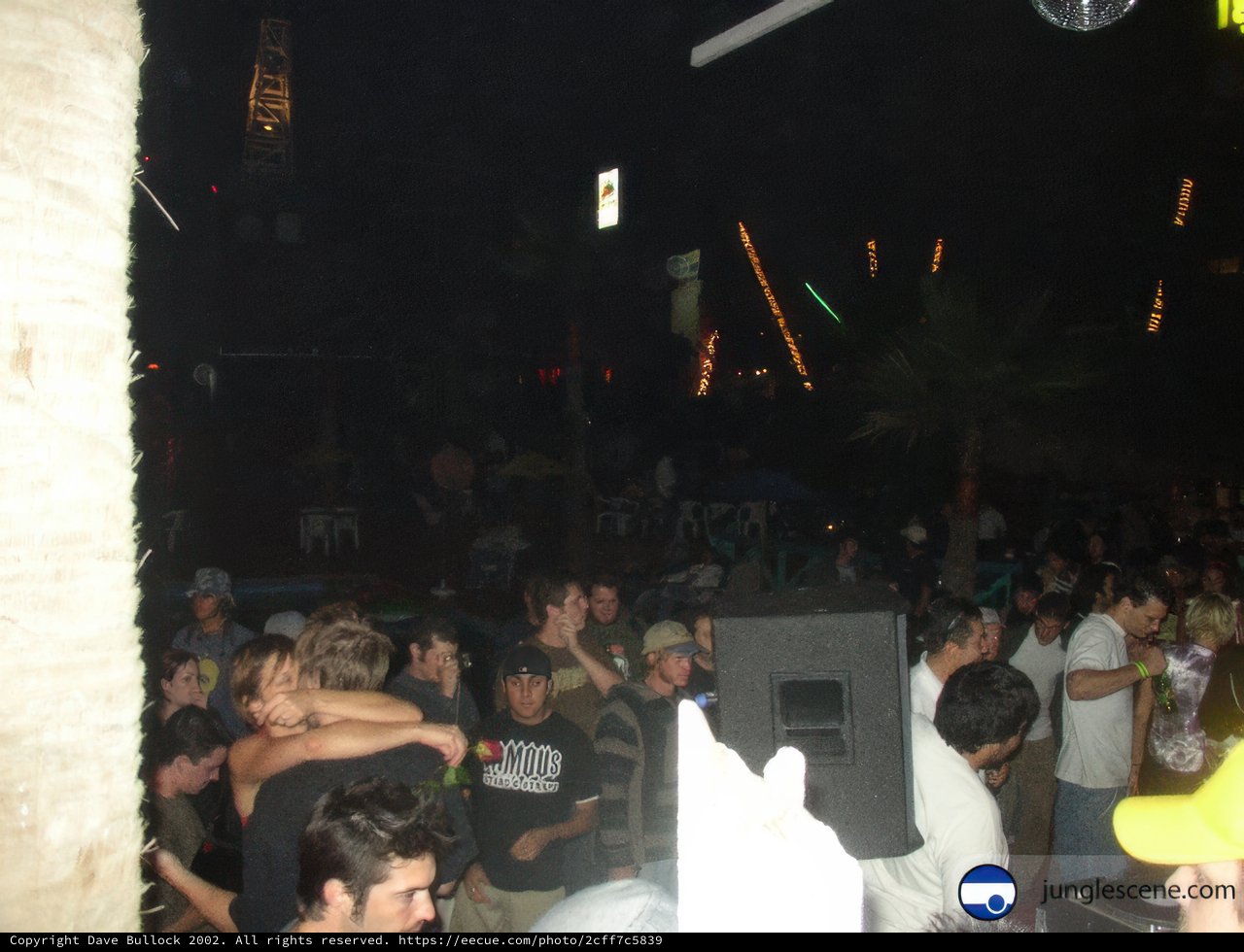 Electric Nightlife at the Disco Club