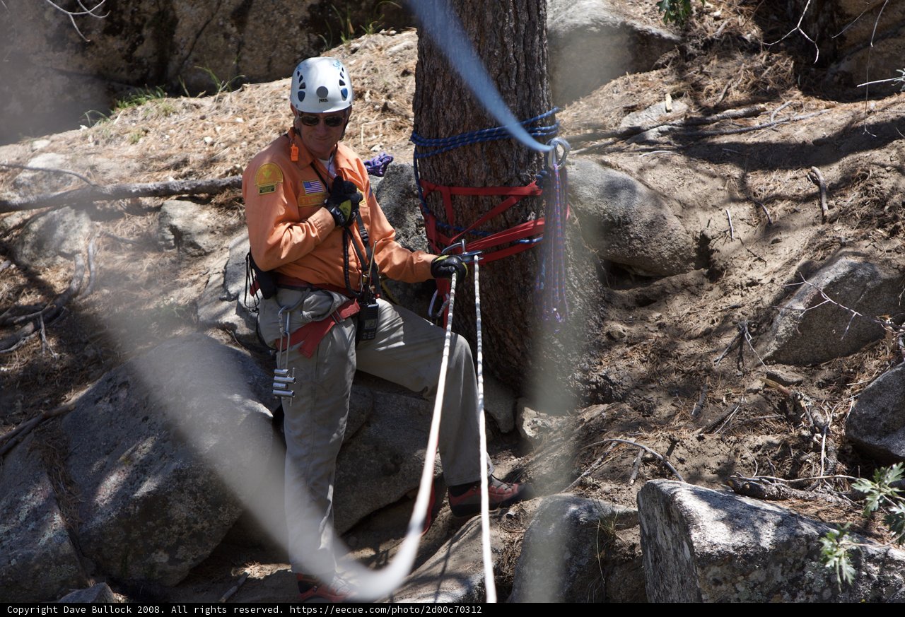 Climbing the Canopy
