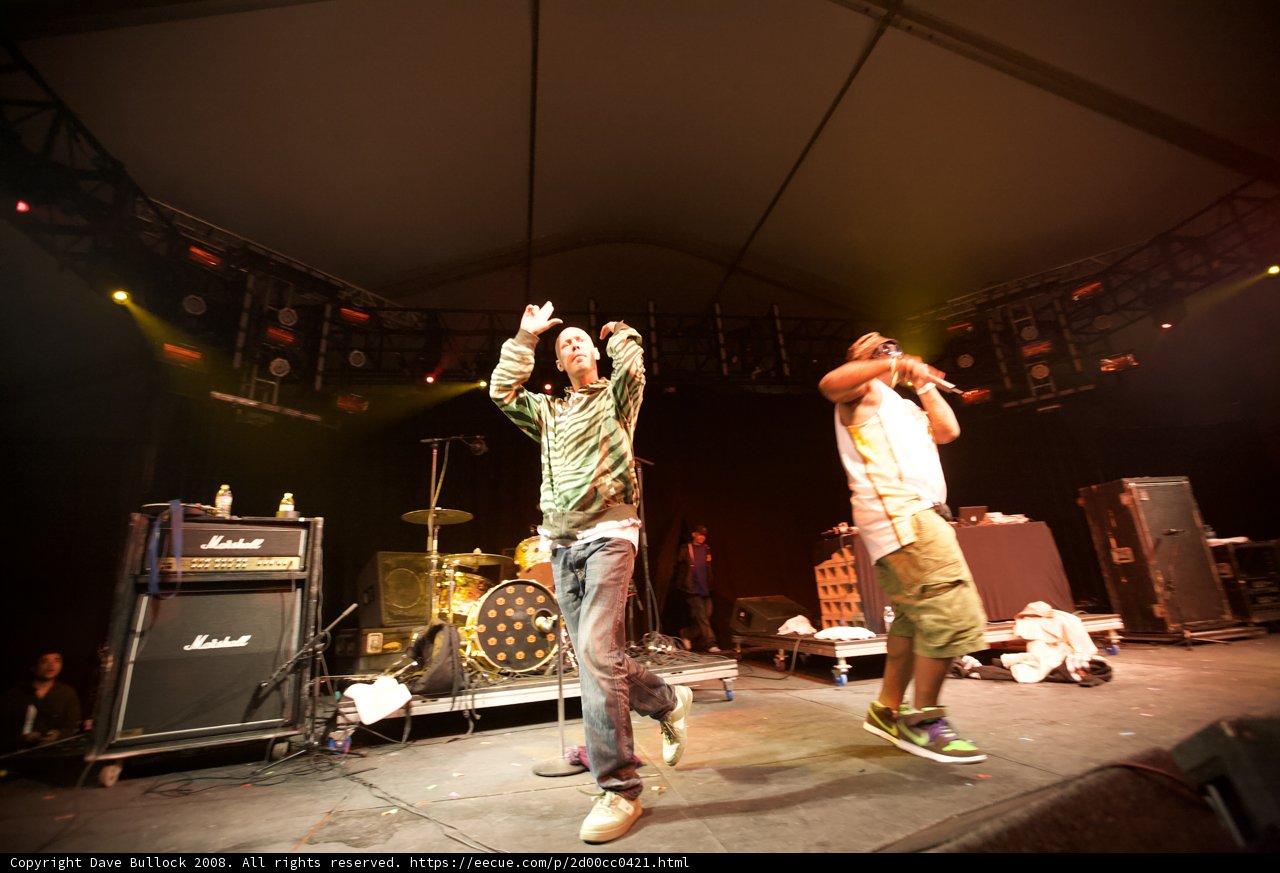 Energetic Performance at Coachella