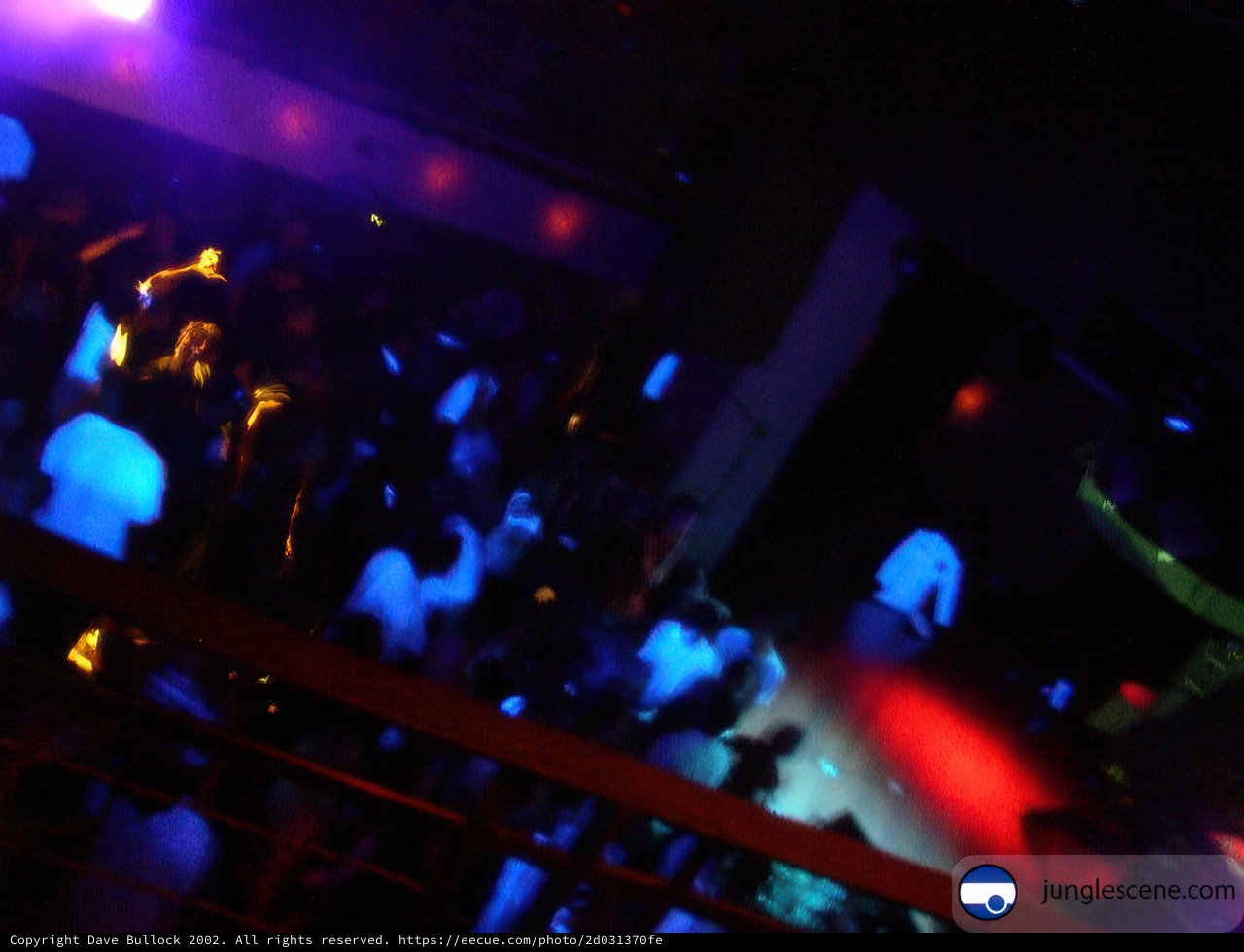 Club-Goers Dance the Night Away.