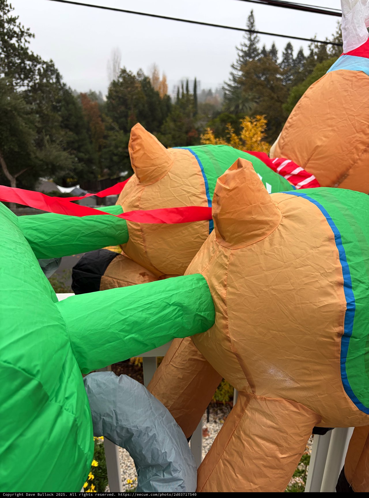 Inflatable Dinosaur Costumes Wrestling at Outdoor Event