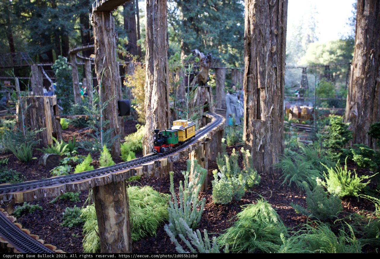 Woodland Railway Adventure