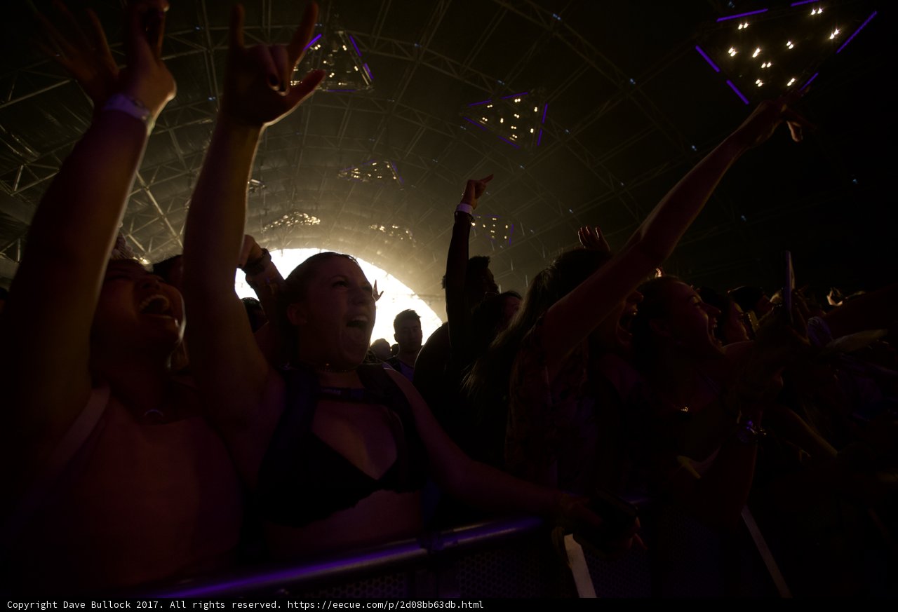 Hands Up, Nightlife On!