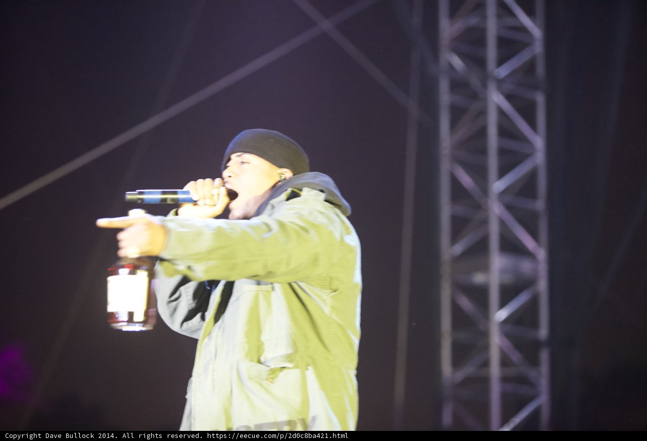 Soloist's Serenade at Coachella