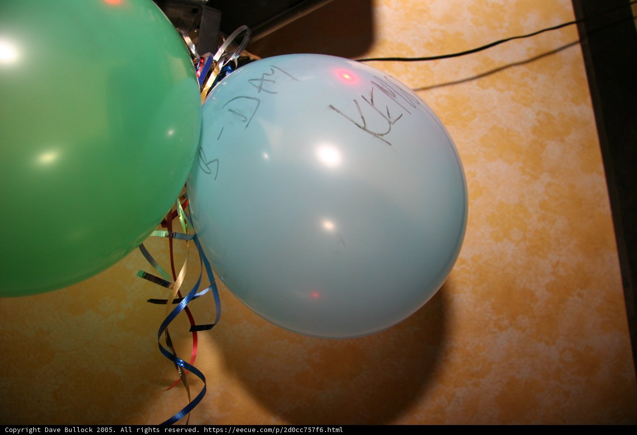 Artful Balloon Duo