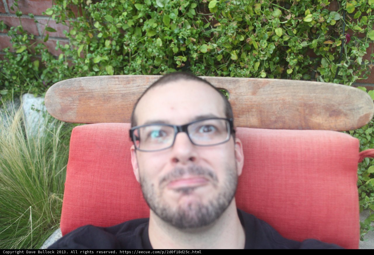 The Bearded Spectacles