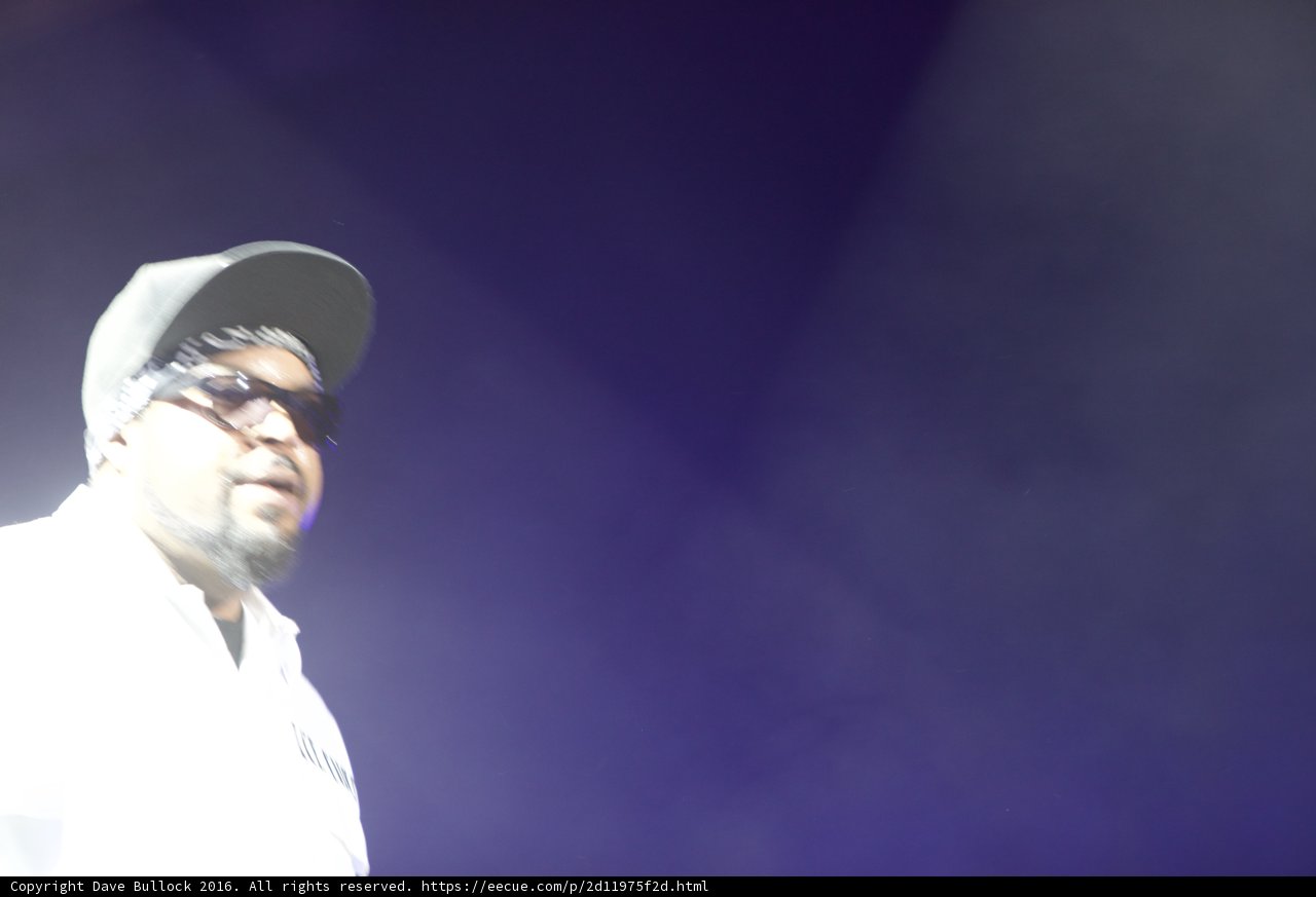 Man in Hat and Glasses Performing on Stage