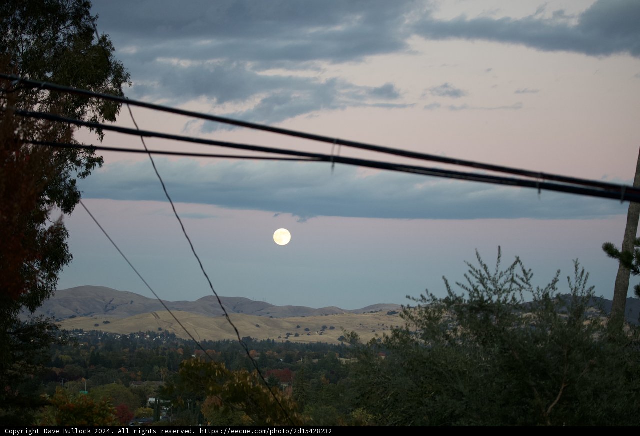 Moonlit Serenity Over Walnut Creek