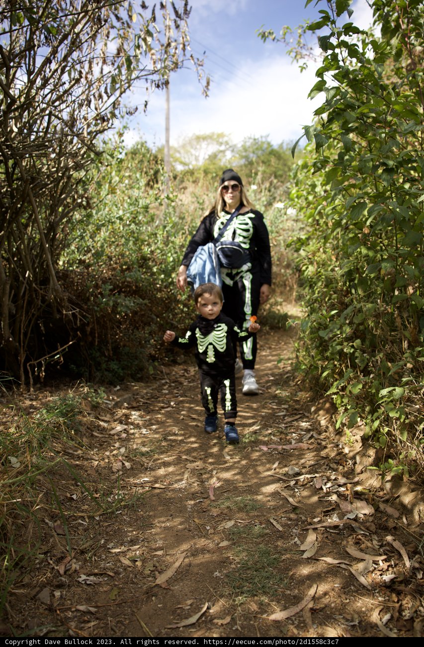 A Tranquil Stroll: Unplugged Adventure