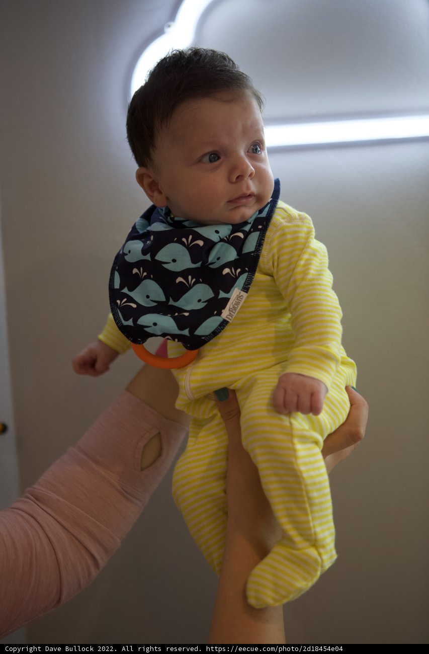 Wesley's First Portrait