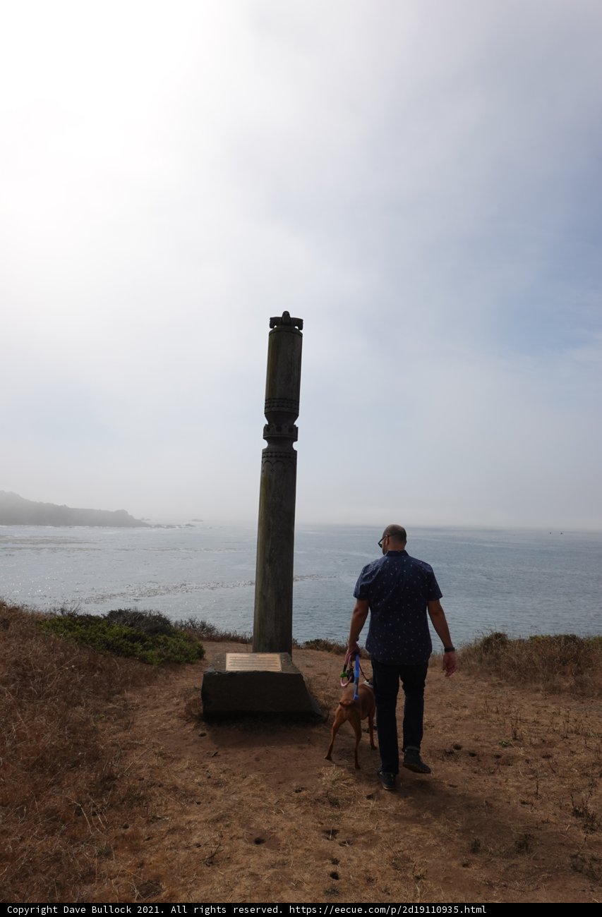 Man Walking His Dog by the Ocean