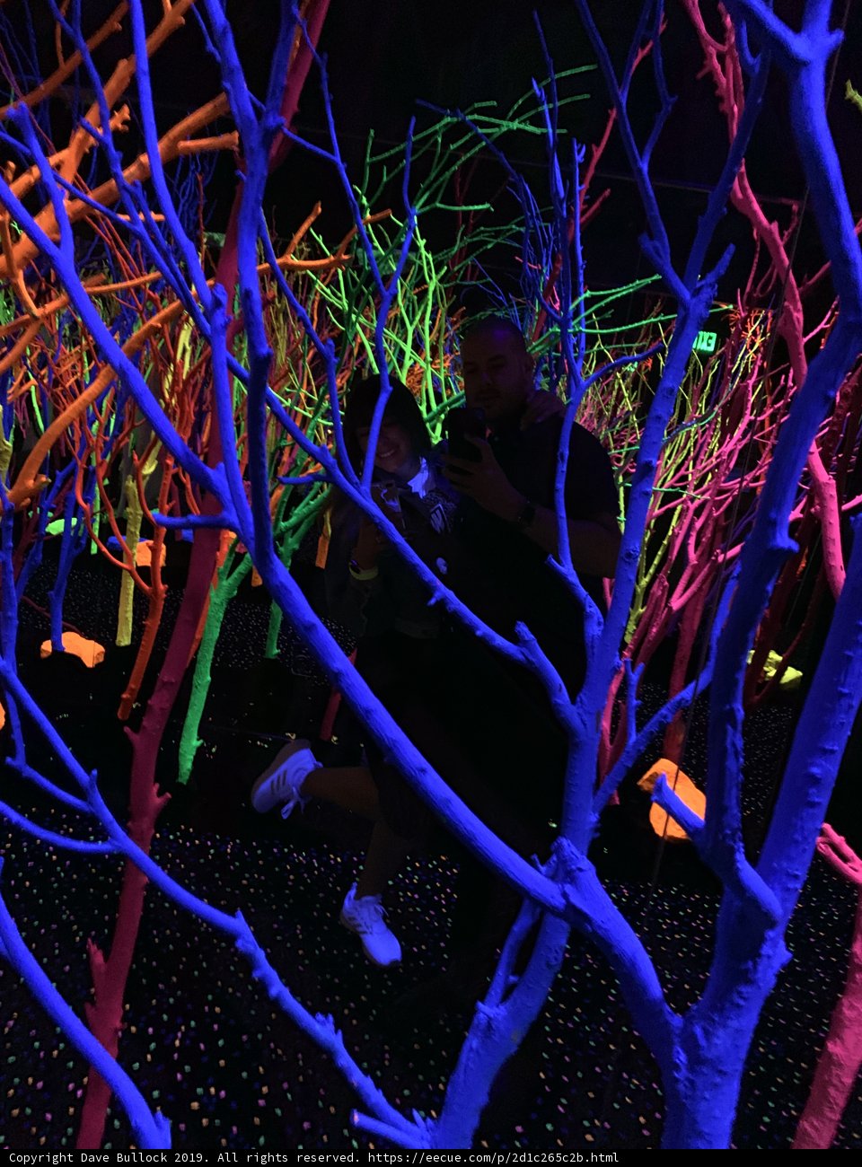 Nightclub fun at Meow Wolf