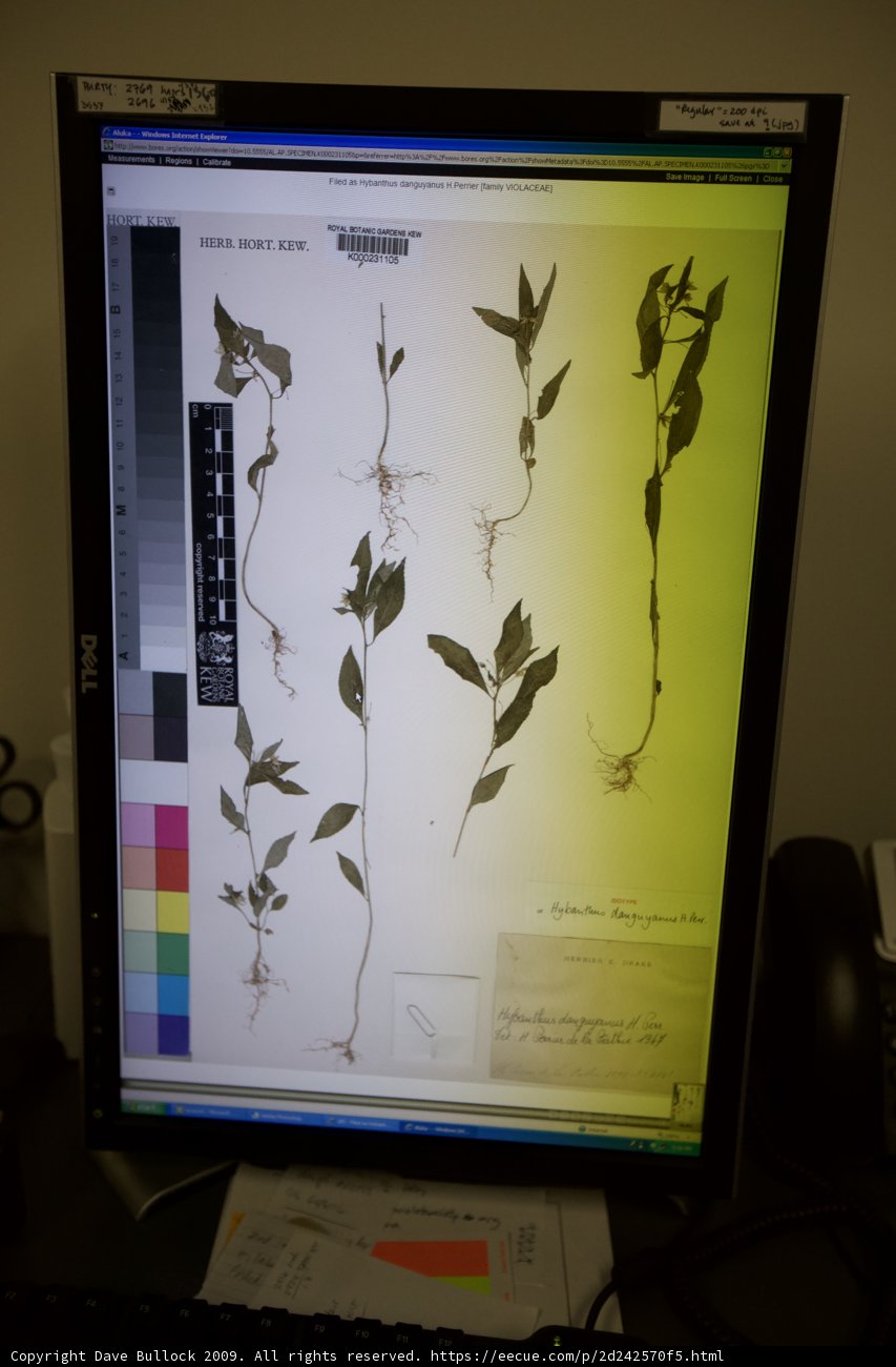 Digital Botany