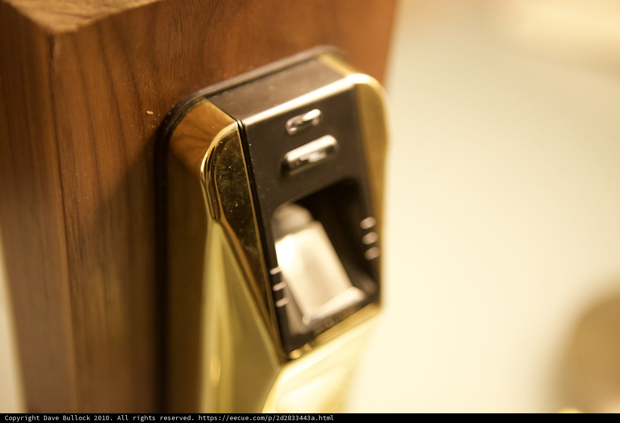 Golden Handle