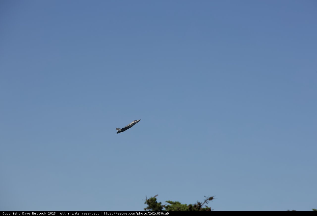 Majestic Flight