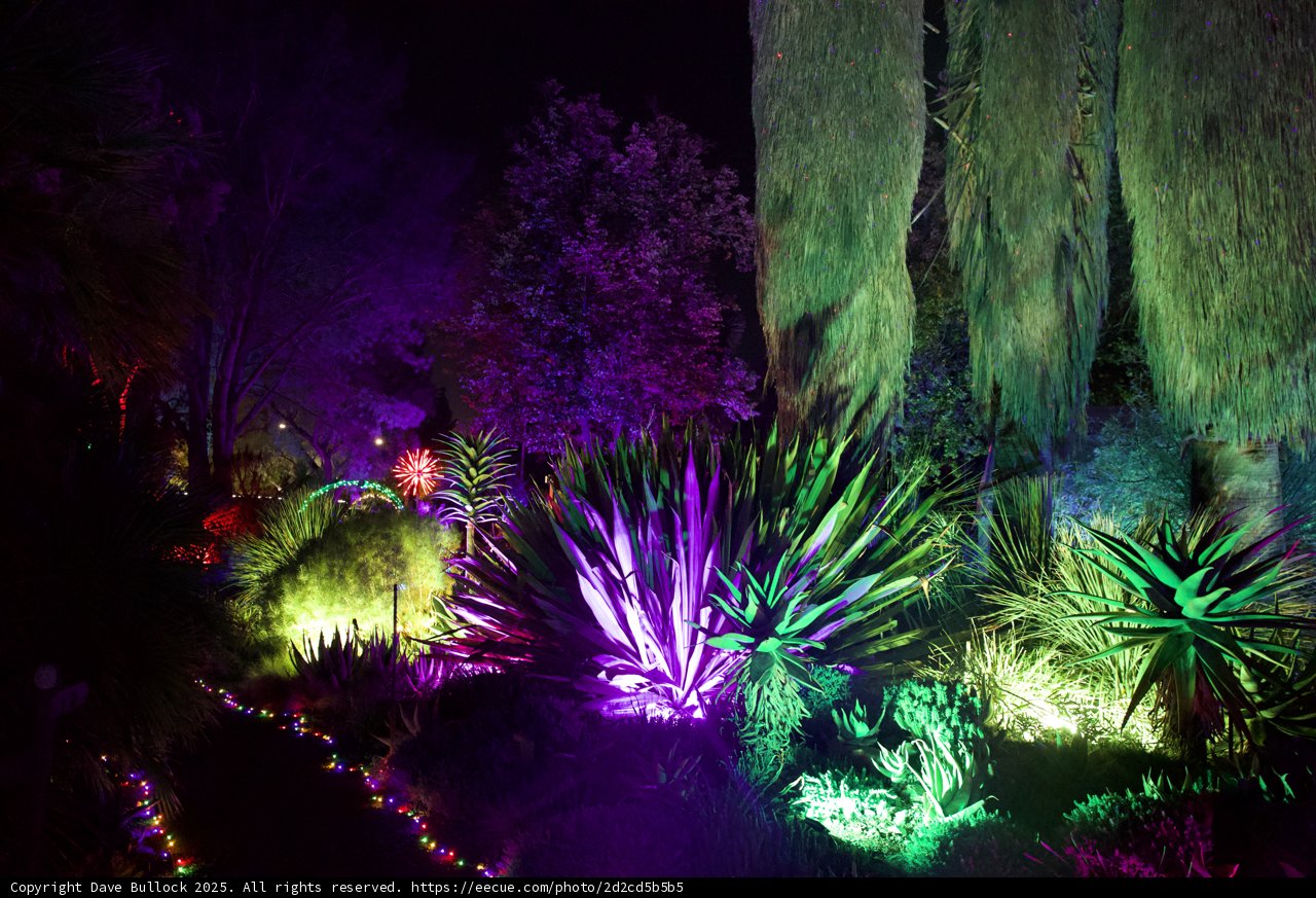 Enchanted Illuminations