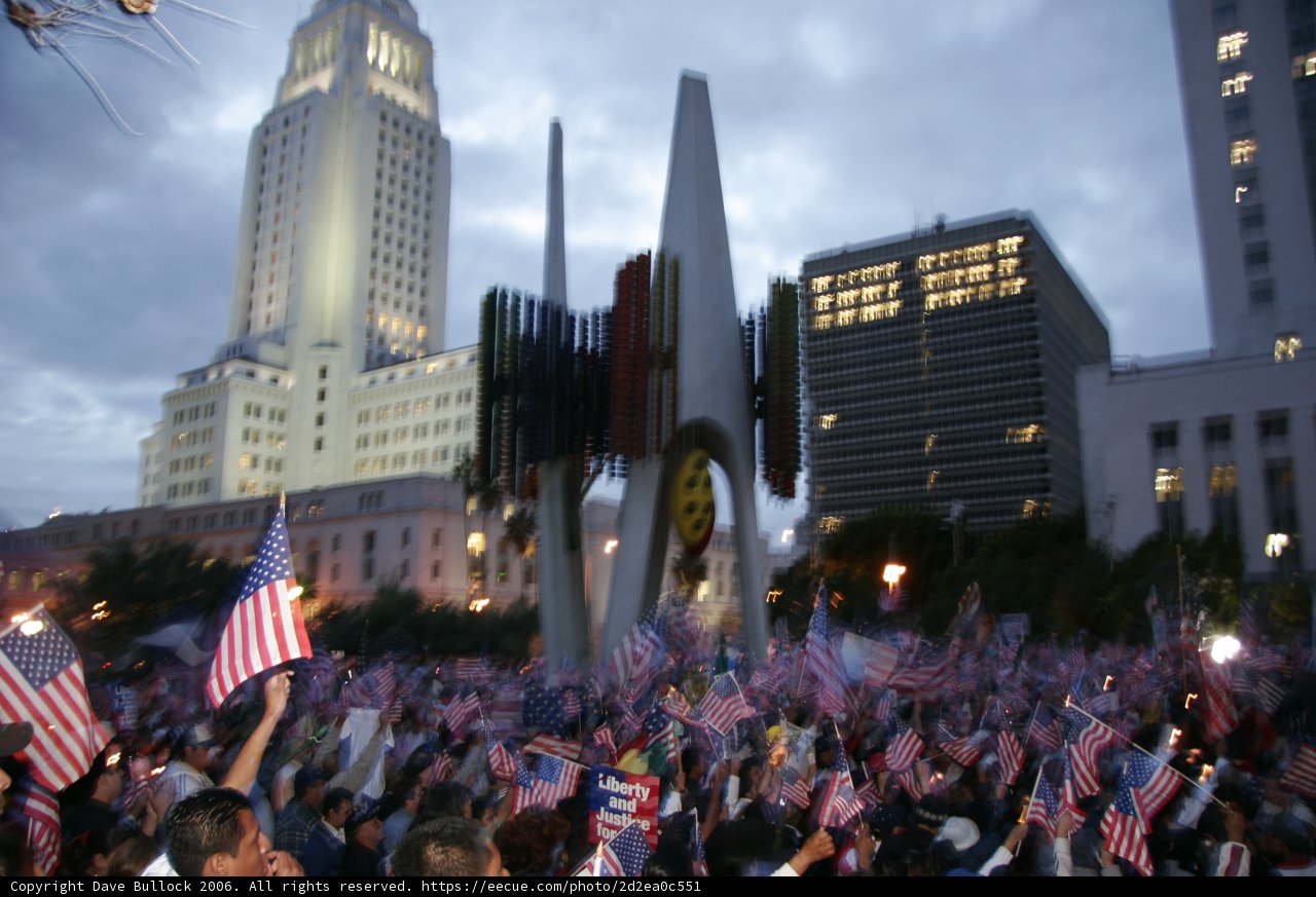 Patriotic Crowd in Metropolis