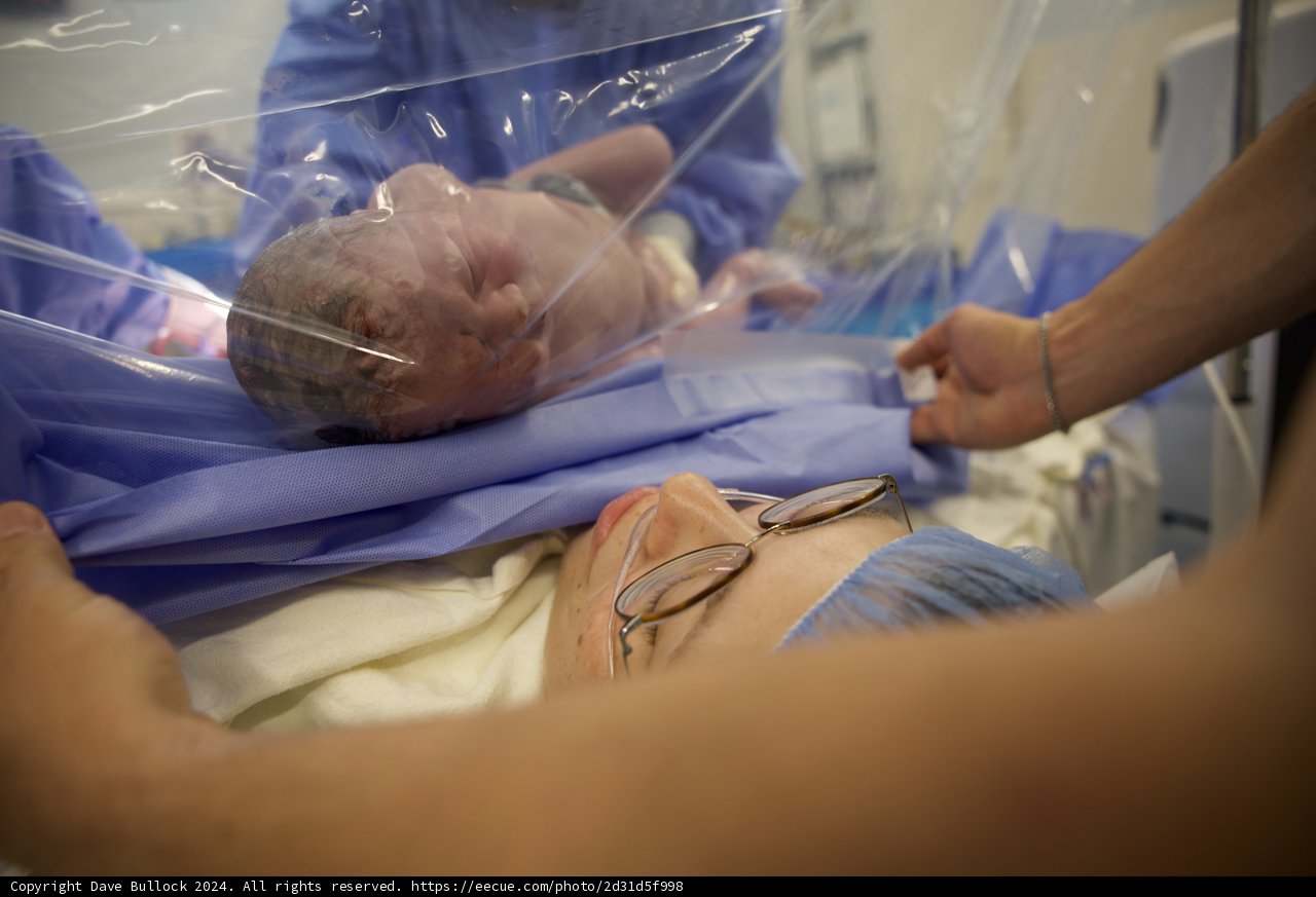 Welcome to the World, Leland