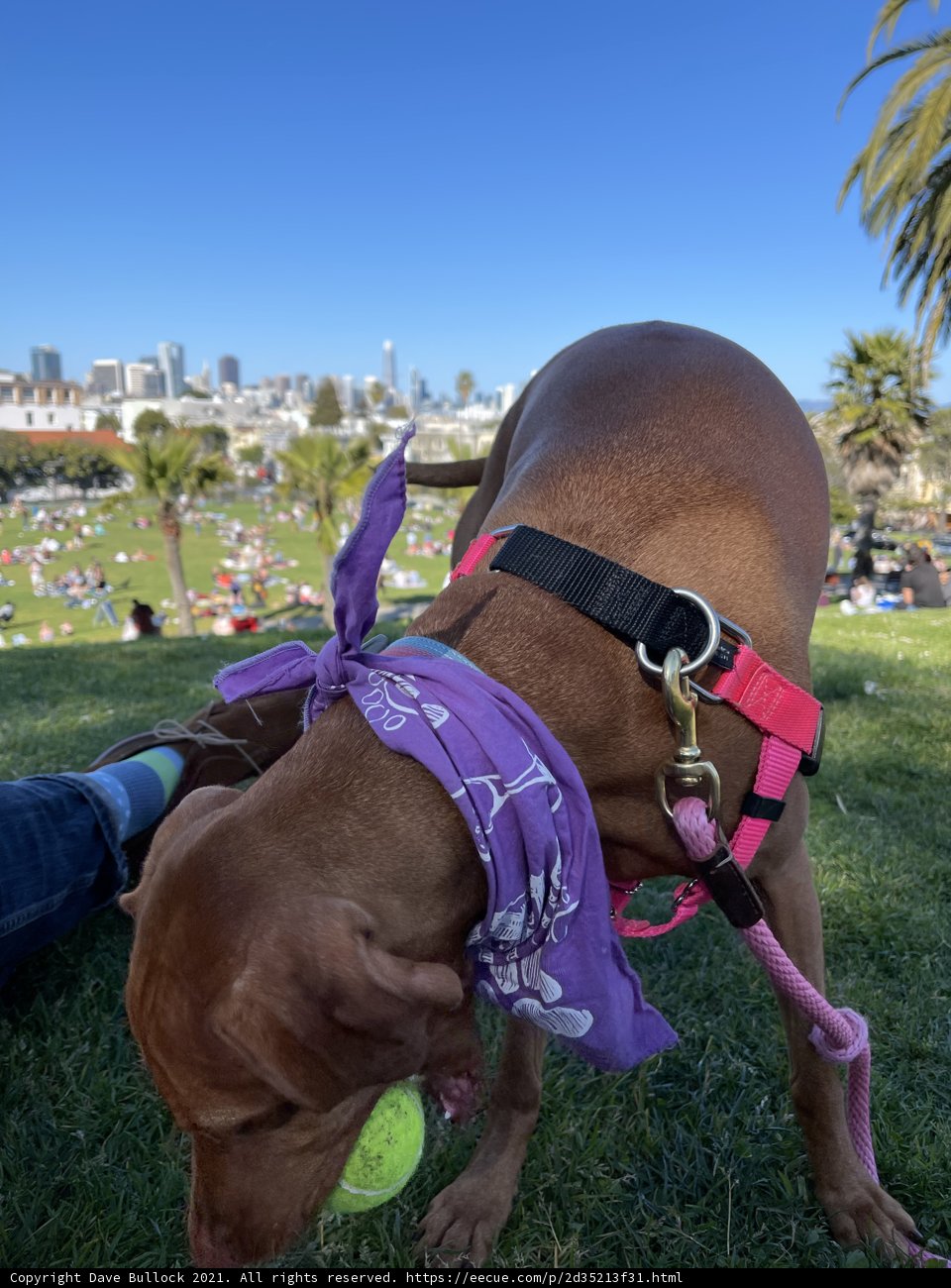Styling Up the Park