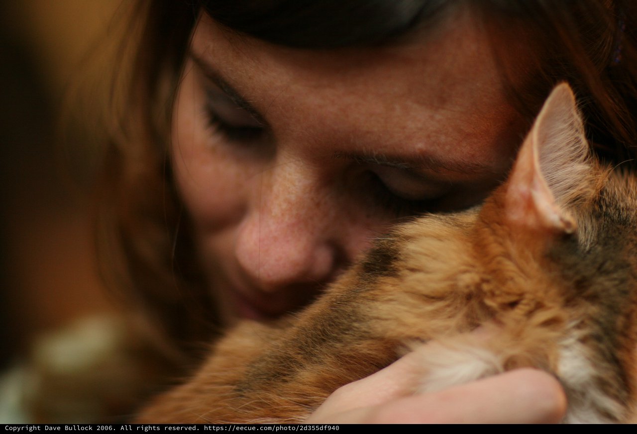 Tender Moment Between Woman and Ginger Cat