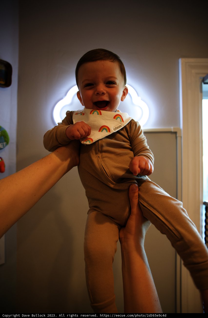 A Bundle of Joyful Laughter