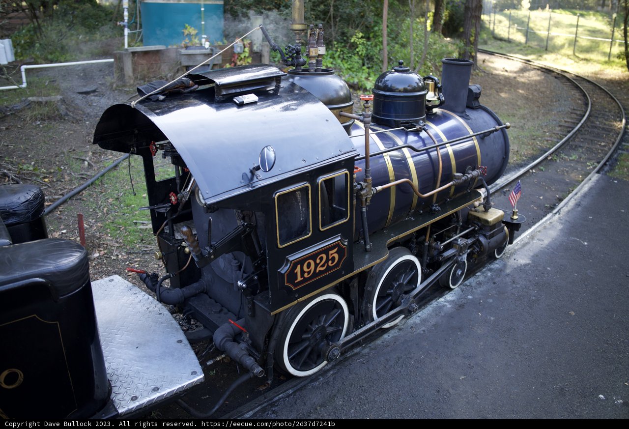 Charming Locomotive Adventure at SF Zoo