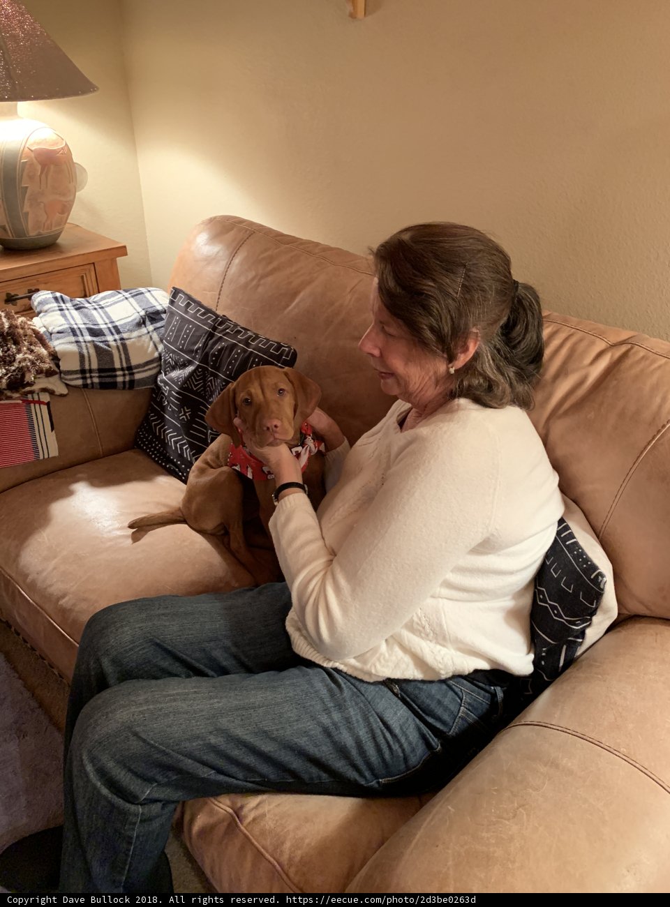 Cozy Christmas Eve with Furry Friends