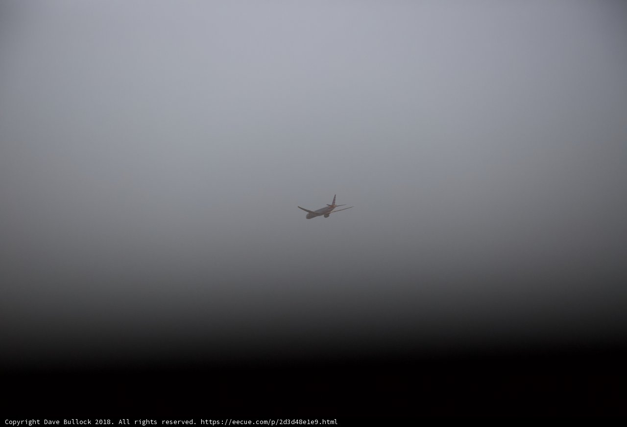 Above the Mist